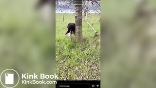 Popular IG Model strikes again