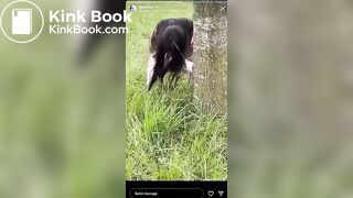 Popular IG Model strikes again