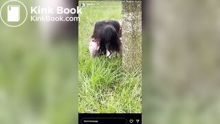 Popular IG Model strikes again