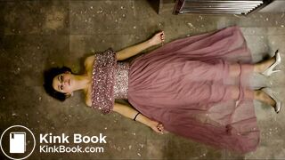 The Bridesmaid Pooping in Toilet