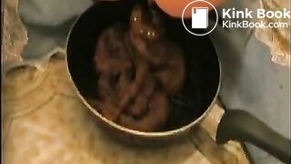 Giant pile of poop in a pan