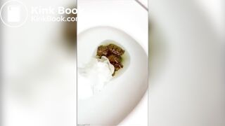 vwm toilet turds