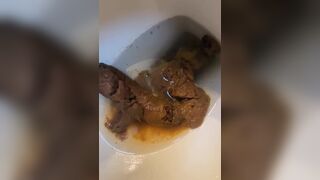 Here s a flush