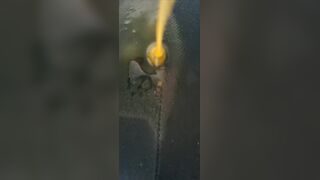 korean girl scat - video 67