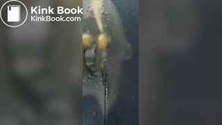 korean girl scat - video 67