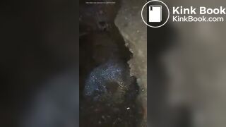 indo girl scat