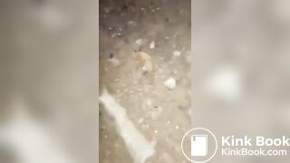 indo girl scat
