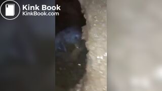 indo girl scat