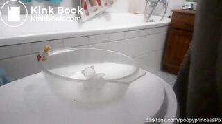 pooping on a toy teddy