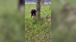 Latina Instagram girl poops outside