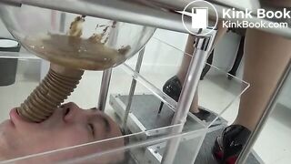 japanese scat femdom 7 - video 2