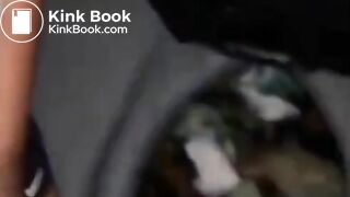 Shit swallow from porta