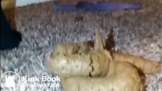Favourite scat girl - video 7