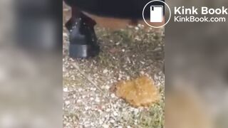 Woman has diarrhea in public parking lot