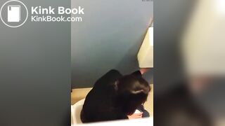 Messy Poop Overstall - video 2