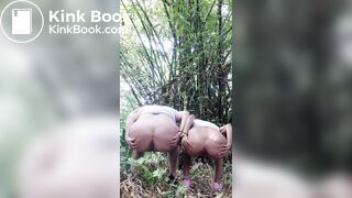 Videos ... - video 2