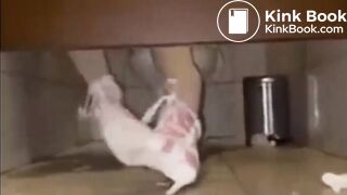 Explosive severe diarrhea