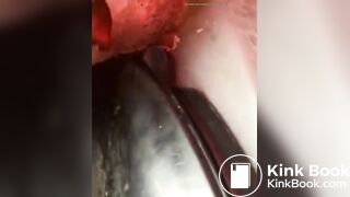 Licking old shit from Port poty