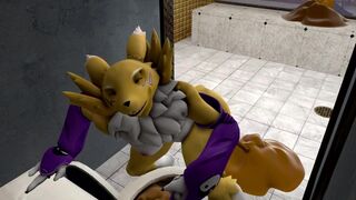 A Tale of the Twin Renamons Part 3