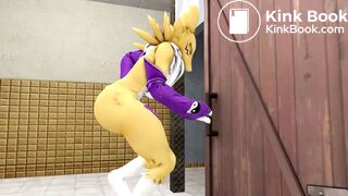 A Tale of the Twin Renamons Part 3