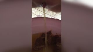 Scat masterbation and urination.