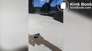 Hot Woman Shitting Part 4