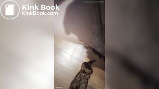 Latina milf serves it up soft