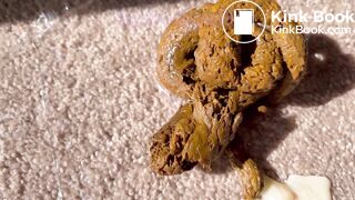 Hot Shit Sesh in the Sun I