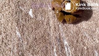 Hot Shit Sesh in the Sun I