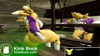 A Tale of the Twin Renamons Part 2