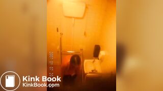 Office Toilet 292SHIT