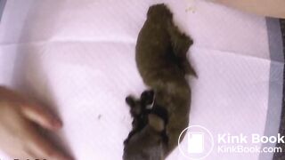 shitting gorgeous poop