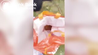 British domme makes sub eat shit in public