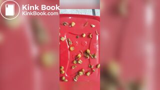 I find corn seeds in a girl shit