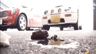 Pooping outdoors and get harassment by someone (Pt.5)