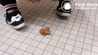 Public toilet vandal