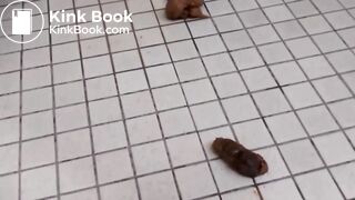 Public toilet vandal