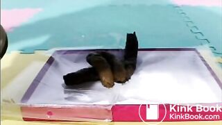 Chinese mistress temptation scat(Chinese subtitle)02