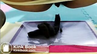 Chinese mistress temptation scat(Chinese subtitle)02