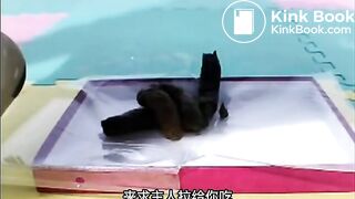 Chinese mistress temptation scat(Chinese subtitle)02