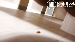 Public toilet wrecking