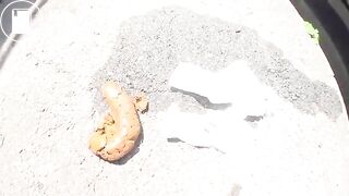 Asian girl pooping in public parking lot