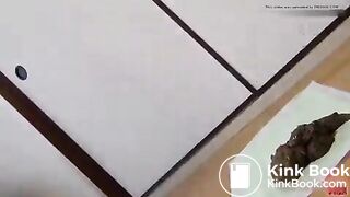 Japanese girl shit - video 11