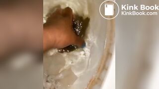 l***p*** grabs scat log straight from toilet bowl