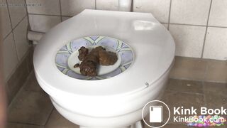 Close up shit on a plate