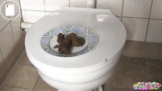 Close up shit on a plate