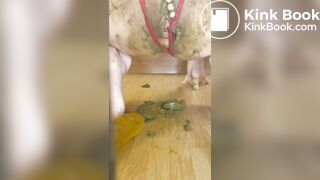 Skinny babe stuffs and smears shit everywhere
