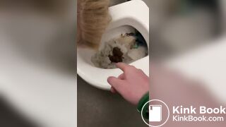 Licking a shit filled toilet