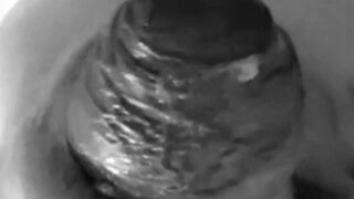 Just Can't Look Away