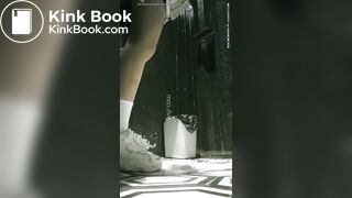 poop toilet 17